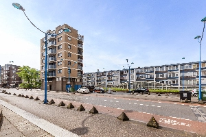 Liesveld 34